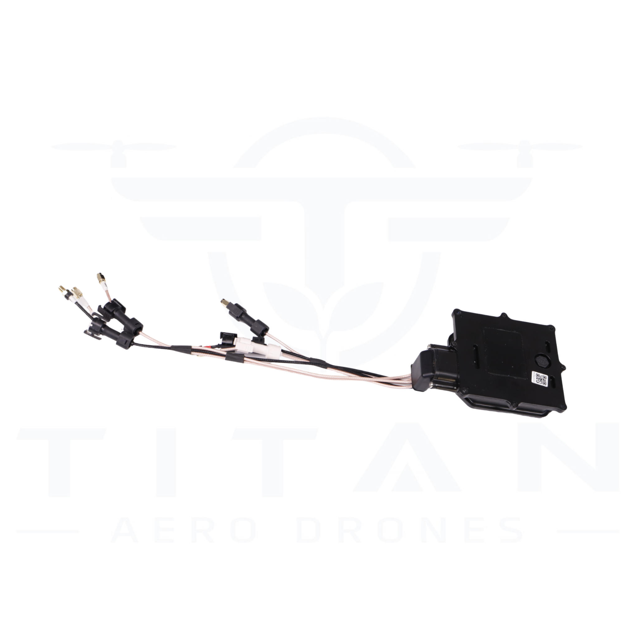 BC.AG.SS000675.01